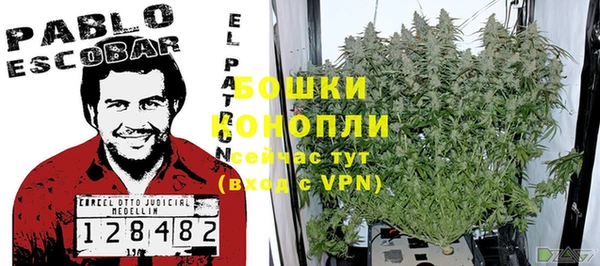 шишки Волосово