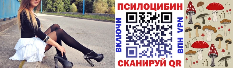 Псилоцибиновые грибы Cubensis  блэк спрут как зайти  Волхов 