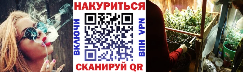 закладка  Волхов  Конопля Ganja 